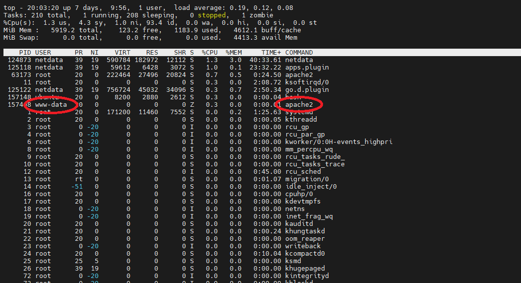 Allow Read/Write Permission to Wordpress
